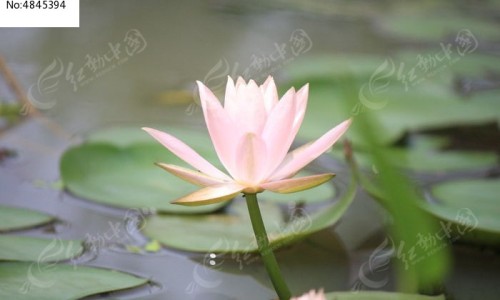 黛莱美保湿霜功效网- 黛莱美保湿霜功效怎么样知识,分享黛莱美保湿霜功效和作用