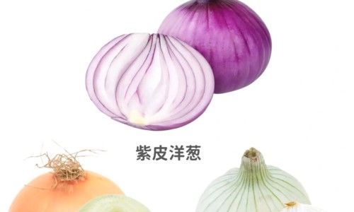 黛莱美保湿霜功效网- 黛莱美保湿霜功效怎么样知识,分享黛莱美保湿霜功效和作用